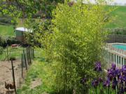 Location de particuliers � particuliers Les roulottes du Lauragais Entre Toulouse et Carcassonne, en plein pays Cathare Location insolite Aude photo 7