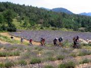 Location de particuliers � particuliers BELLE MAISON SPACIEUSE PARC BARONNIES PROVENCALES G�te Hautes alpes photo 11