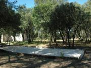 Location de particuliers � particuliers Chambre d'H�tes Provence 2 pers piscine, tennis, p�tanque- Le Domaine d'Al�zen Chambres d'hotes Bouches du rh�ne photo 10