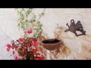 Location de particuliers � particuliers G�te Le Grand Duc G�te Is�re photo 7