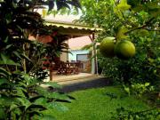Location de particuliers � particuliers BLEU VANILLE, kaz et jardin de charme G�te Guadeloupe photo 11