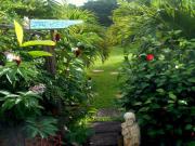 Location de particuliers � particuliers BLEU VANILLE, kaz et jardin de charme G�te Guadeloupe photo 13