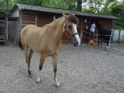 Location de particuliers � particuliers Emplacement de Camping pour tente, caravane ou camping car pr�s de Lamotte-Beuvron et Chambord Camping / Mobile-home Loir et Cher photo 10