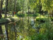 Location de particuliers � particuliers Emplacement de Camping pour tente, caravane ou camping car pr�s de Lamotte-Beuvron et Chambord Camping / Mobile-home Loir et Cher photo 9