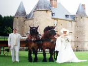 Location de particuliers � particuliers Ch�teau de Landreville Luxury Bed & Breakfast Chambres d'hotes Ardennes photo 15