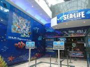 Location de particuliers � particuliers DISNEYLAND PARIS /F2 Location saisonni�re Seine et Marne photo 15