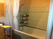Location de particuliers � particuliers DISNEYLAND PARIS /F2 Location saisonni�re Seine et Marne photo 9