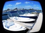 Location de particuliers � particuliers Les rives du lac du der, Situation exceptionnelle G�te Marne photo 6