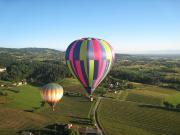 Location de particuliers � particuliers Les picat'lies pour le calme, vignerons en bio vignoble des c�tes roannaises Chambres d'hotes Loire photo 14