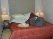Location de particuliers � particuliers Les picat'lies pour le calme, vignerons en bio vignoble des c�tes roannaises Chambres d'hotes Loire photo 5