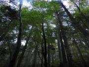 Location de particuliers � particuliers L'atelier s, aux portes du parc national des C�vennes Chambres d'hotes Loz�re photo 14
