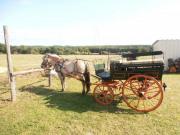 Location de particuliers � particuliers  LE LOGIS DU PAVILLON �  Baugeois- vall�e en Anjou Location saisonni�re Maine et Loire photo 7