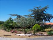 Location de particuliers � particuliers Chambres d'h�tes La Genoise au coeur du vignoble nantais Chambres d'hotes Maine et Loire photo 5