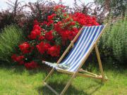 Location de particuliers � particuliers A 20 mn du Futuroscope, Les Logis de La Rimberti�re G�te Vienne photo 8