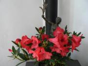 Location de particuliers � particuliers G�TE MAISON D'H�TES ZEN VINTAGE AVEC JARDIN PLAGE G�te Somme photo 7