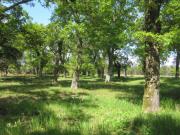 Location de particuliers � particuliers Les Gites de la Palue - Les Sources � 15 mn de l'oc�an G�te Landes photo 3