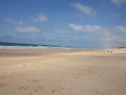 Location de particuliers � particuliers Les Gites de la Palue - Les Sources � 15 mn de l'oc�an G�te Landes photo 4