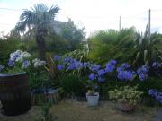 Location de particuliers � particuliers Chambres d'h�tes entre ST MALO ET CANCALE Chambres chez l'habitant Ille et Vilaine photo 7