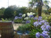 Location de particuliers � particuliers Chambres d'h�tes entre ST MALO ET CANCALE Chambres chez l'habitant Ille et Vilaine photo 9