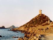 Location de particuliers � particuliers Studio bord de mer-Corse du Sud-plage de la Liscia Location saisonni�re Corse du Sud photo 11