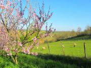 Location de particuliers � particuliers Gite 
