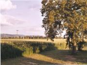 Location de particuliers � particuliers Bungalow / G�te de l'Andouette G�te Puy de D�me photo 6
