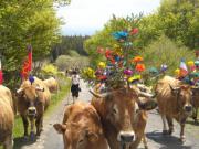 Location de particuliers � particuliers Gites au calme sur l'Aubrac en Loz�re, route des lacs G�te Loz�re photo 14