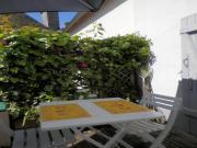 Location de particuliers � particuliers L'Escale Marine, 15 pas plage/port, p�cheur r�nov�e Location saisonni�re Finist�re photo 2