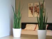 Location de particuliers � particuliers APPARTEMENT 