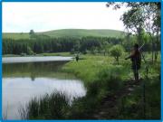 Location de particuliers � particuliers Chambres d'h�tes et chalets au LAC DES ESTIVES, Parc des Volcans en Haute Auvergne Chalet Cantal photo 8