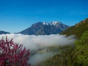 Location de particuliers � particuliers Chambres d'h�tes La Ventulella, superbe vue sur les aiguilles de Popolasca Chambres d'hotes Haute Corse photo 8