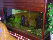 Location de particuliers � particuliers Chambre chez l habitant Chambres chez l'habitant Ille et Vilaine photo 14