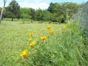 Location de particuliers � particuliers Location saisonni�re Gironde-Dordogne Location saisonni�re Gironde photo 4