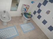 Location de particuliers � particuliers T2 Manou Location saisonni�re Martinique photo 12