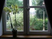 Location de particuliers � particuliers Studio meubl� Cit� Plantagenet.  H�tel Sarthe photo 3