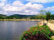 Location de particuliers � particuliers Maison dans le Forez G�te Loire photo 10