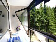 Location de particuliers � particuliers Location 4 personnes +b�b�, ascenseur et parking Location saisonni�re Vosges photo 6
