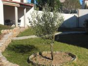 Location de particuliers � particuliers Maison spacieuse avec piscine proche Montpellier Location saisonni�re H�rault photo 14