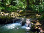 Location de particuliers � particuliers VILLA , WIFI, Provencal style , Greco Roman , ( COUNTRY -Vallons / VAR region Centre) Location saisonni�re Var photo 13