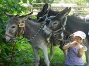 Location de particuliers � particuliers Un g�te et huit �nes G�te Ain photo 10