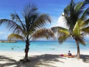 Location de particuliers � particuliers Location saisonni�re, route des H�tels, LE GOSIER Location saisonni�re Guadeloupe photo 6