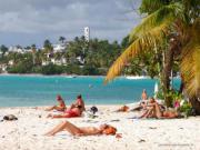 Location de particuliers � particuliers Location saisonni�re, route des H�tels, LE GOSIER Location saisonni�re Guadeloupe photo 9