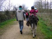 Location de particuliers � particuliers GRANDE MAISON VUE MER EN PRESQU ILE DE CROZON Location saisonni�re Finist�re photo 14