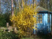 Location de particuliers � particuliers La Maison d'� C�t� au coeur du village, proche Gu�delon G�te Ni�vre photo 10