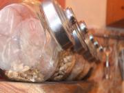 Location de particuliers � particuliers G�te le Caf� des Brotteaux, 200 m�tres plages de la rivi�re d'Ain Location saisonni�re Ain photo 4