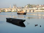Location de particuliers � particuliers A fleur d'ailes - G�te nature, Val de Loire class� UNESCO G�te Loir et Cher photo 10