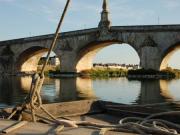 Location de particuliers � particuliers A fleur d'ailes - G�te nature, Val de Loire class� UNESCO G�te Loir et Cher photo 11