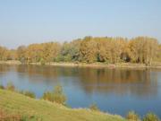 Location de particuliers � particuliers A fleur d'ailes - G�te nature, Val de Loire class� UNESCO G�te Loir et Cher photo 12