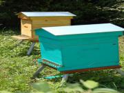Location de particuliers � particuliers A fleur d'ailes - G�te nature, Val de Loire class� UNESCO G�te Loir et Cher photo 9