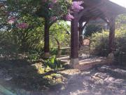 Location de particuliers � particuliers Le Logis de Contie,g�te de 220 m2, entre Sarlat et Montignac Lascaux G�te Dordogne photo 14